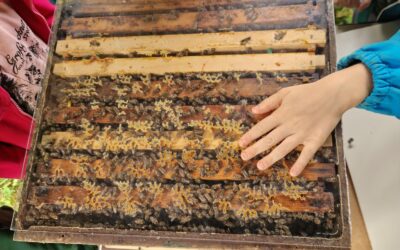 Neues aus dem Schulleben