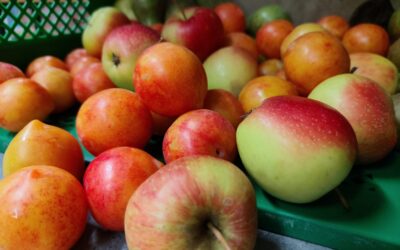Neues im September